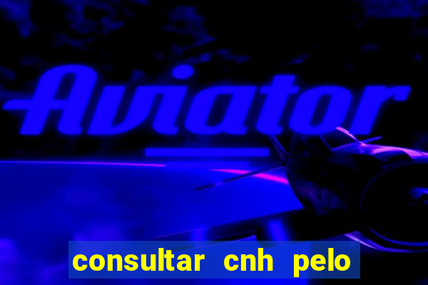 consultar cnh pelo cpf sp